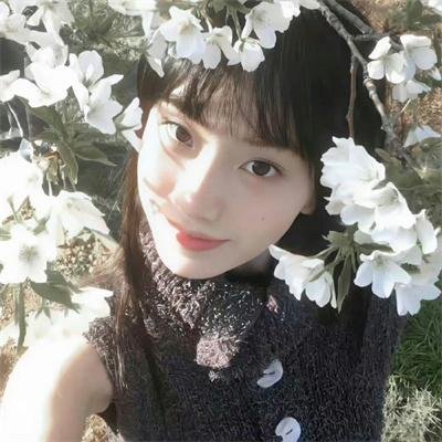 向阳农庄的罗曼史
